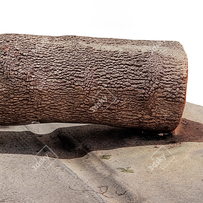 Rustic Tree Trunk Decor 3D model image 6