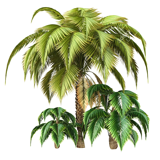 Tropical Palm Tree Decor 3D model image 1