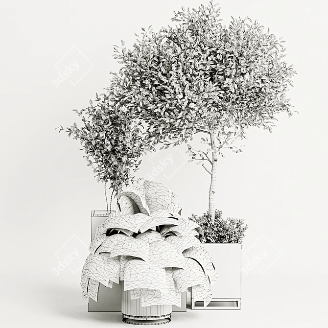 Lush Green Plant Collection 3D model image 5