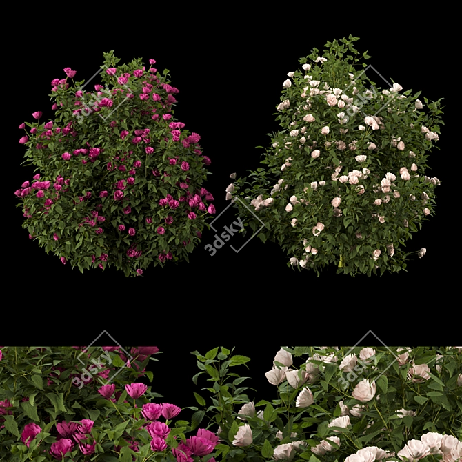 Blooming Bush Collection Vol. 4 3D model image 1