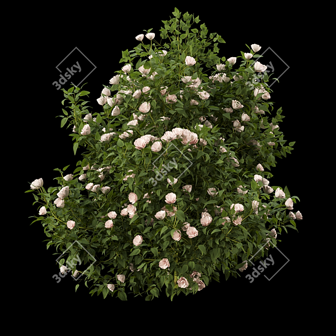 Blooming Bush Collection Vol. 4 3D model image 3