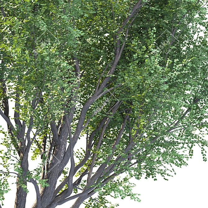 EcoTech Tree: Stunning Landscape Focal Point 3D model image 2