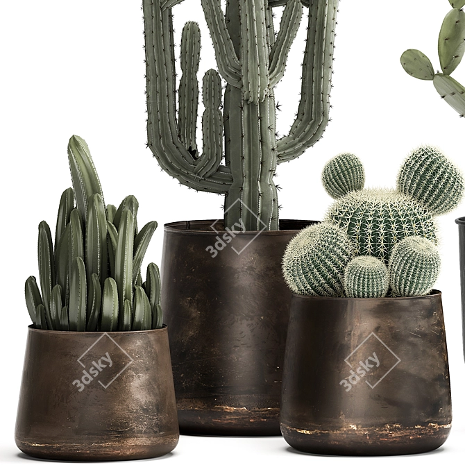 Exotic Cactus Collection in Stylish Metal Pots 3D model image 2