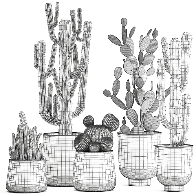 Exotic Cactus Collection in Stylish Metal Pots 3D model image 6