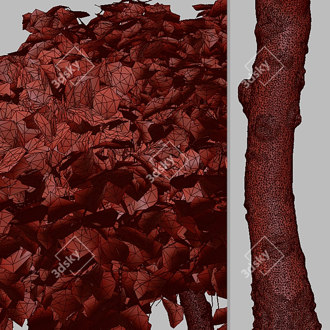 Sweetgum Tree Set: 2 Majestic Liquidambar styraciflua Trees 3D model image 5