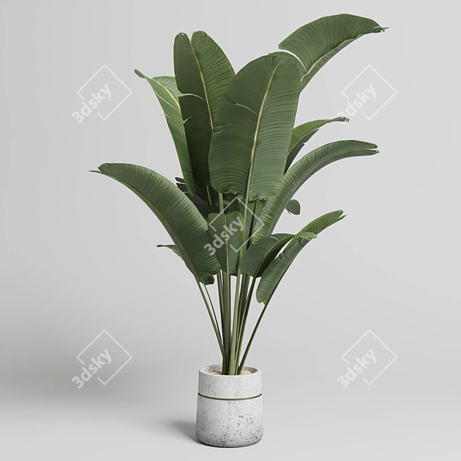 Handmade Concrete Vase Indoor Plant 3D model image 3
