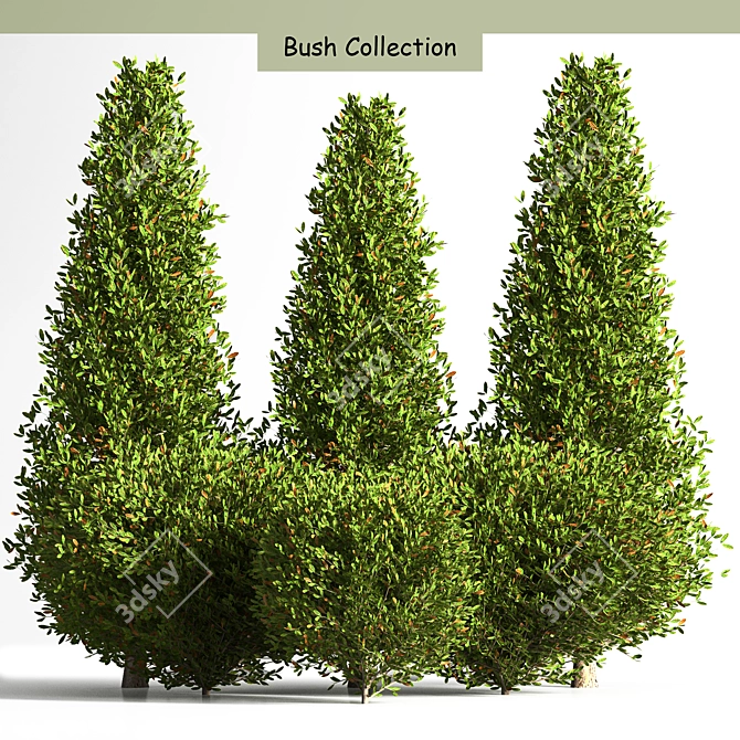 Bush Collection 01: Versatile 3D Model Set 3D model image 1