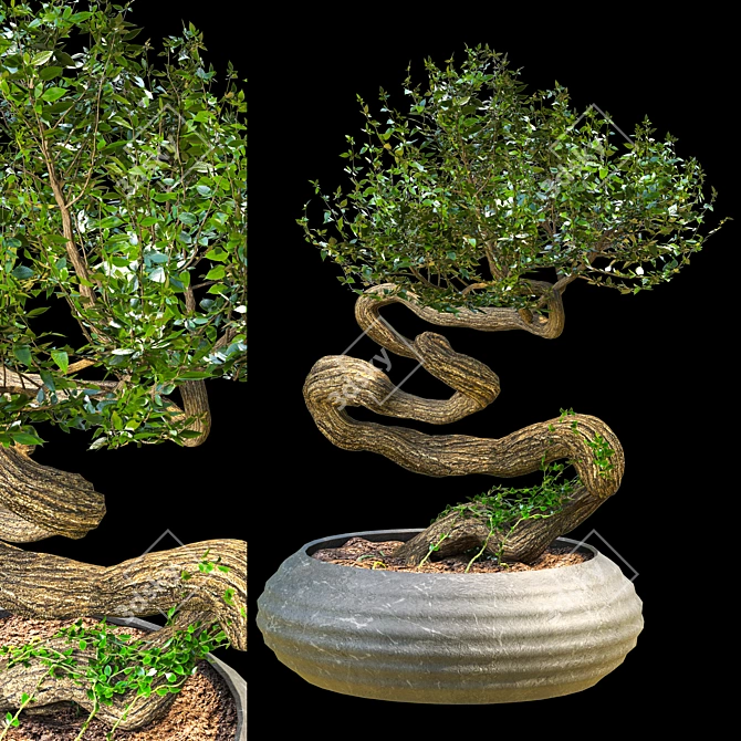 Serene Bonsai Sculpture 3D model image 1