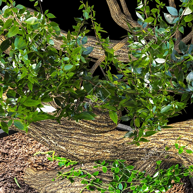 Serene Bonsai Sculpture 3D model image 2