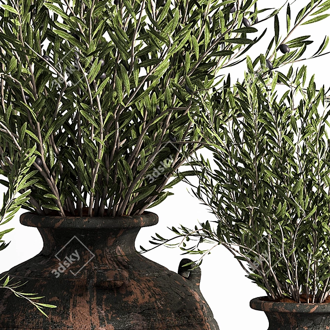 Antique Clay Olive Plant 3D model image 4