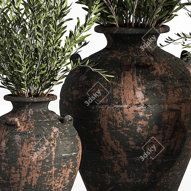 Antique Clay Olive Plant 3D model image 5