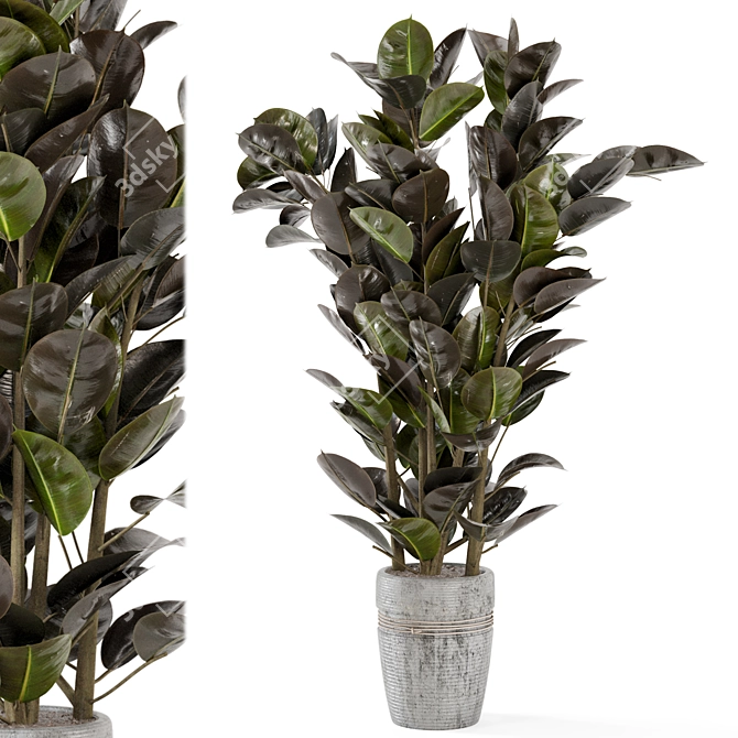 Rustic Concrete Pot Indoor Plant Set 3D model image 1