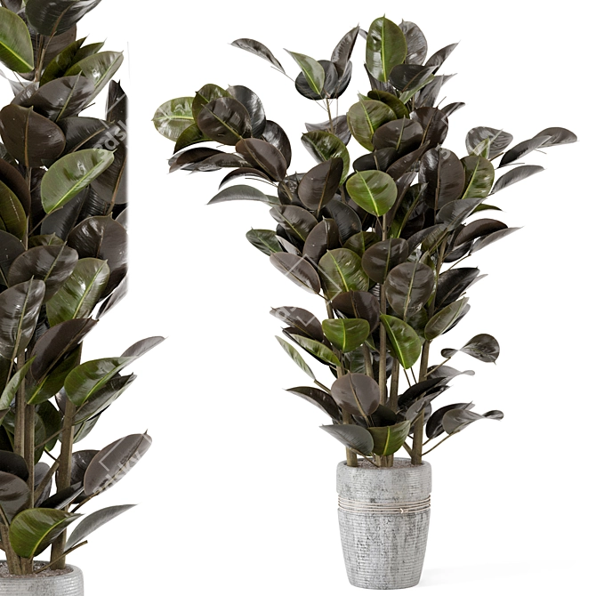 Rustic Concrete Pot Indoor Plant Set 3D model image 2