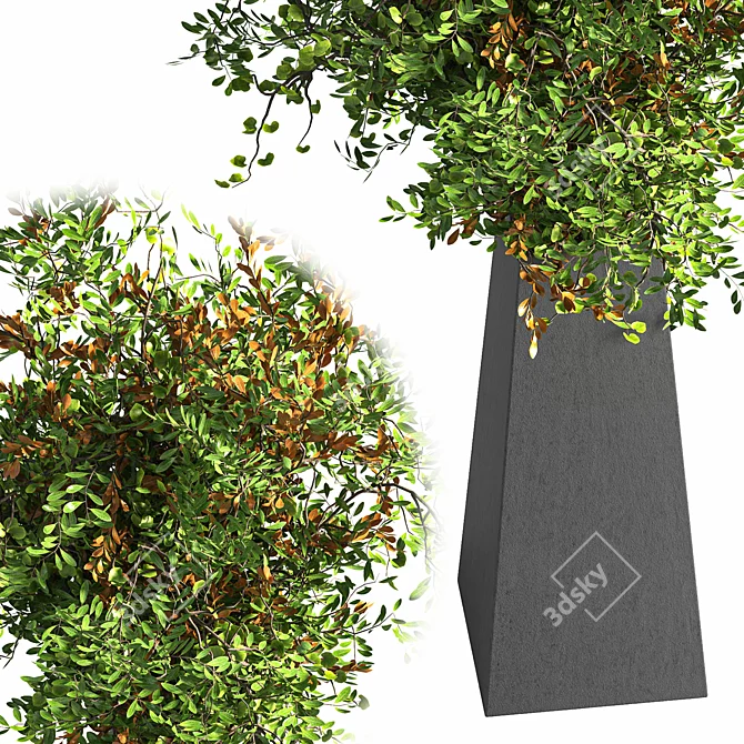 Elegant Gray Branch in Pot 3D model image 3