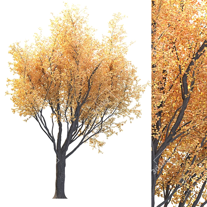 Lush Foliage Tree for Landscapes 3D model image 1