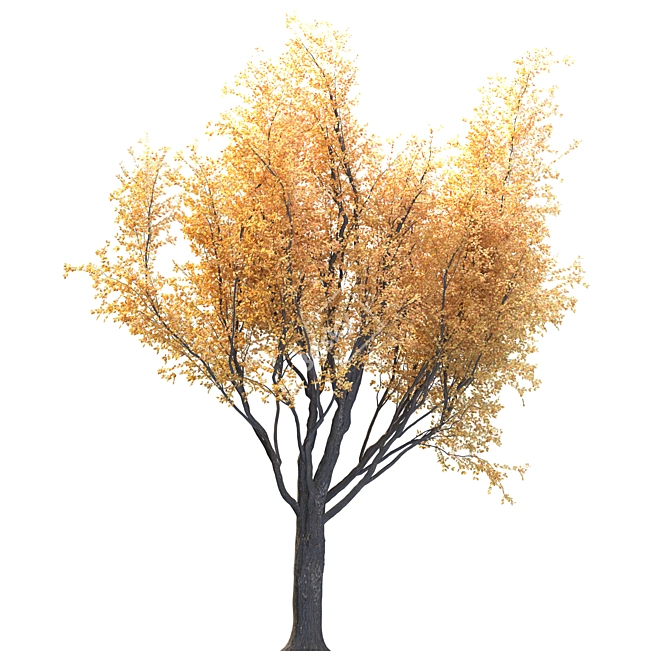 Lush Foliage Tree for Landscapes 3D model image 3