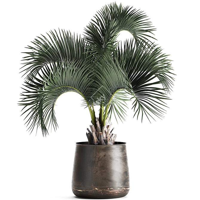 Exotic Metal Pot Plant Collection 3D model image 6