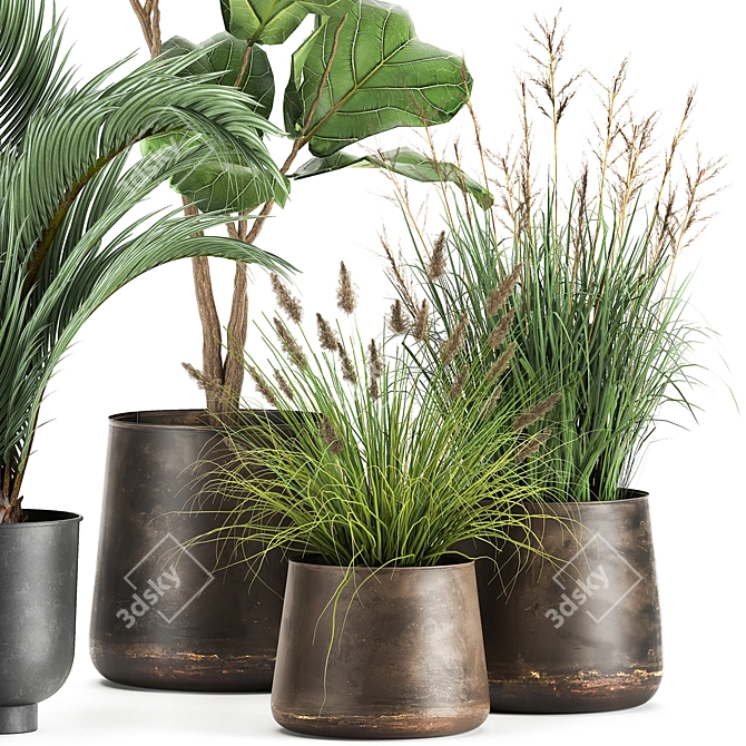 Tropical Plant Collection in Stylish Pots 3D model image 5