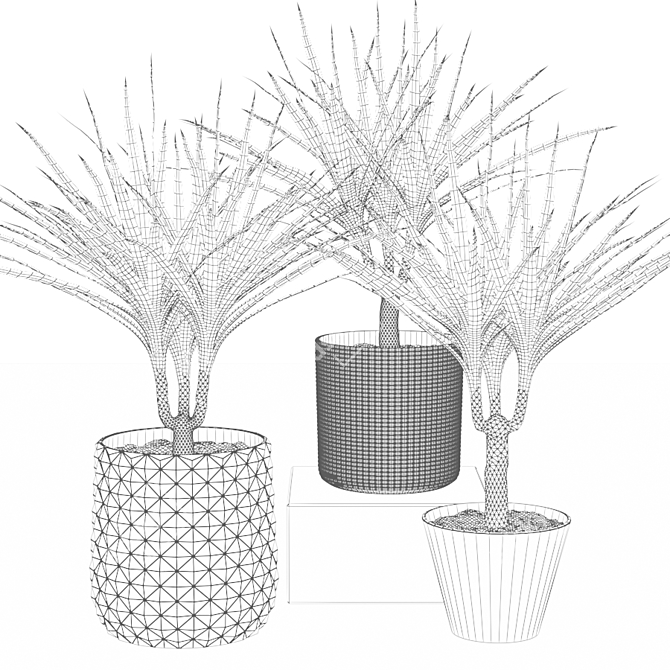 Decorative Set: 3 Small Dracaena Plants 3D model image 2