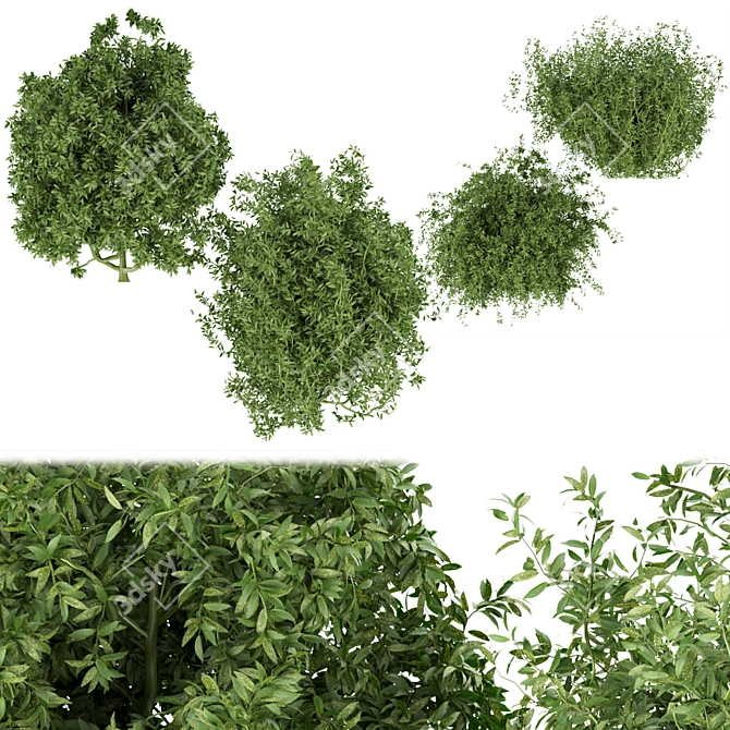 Premium Plant Collection Vol. 226 3D model image 1