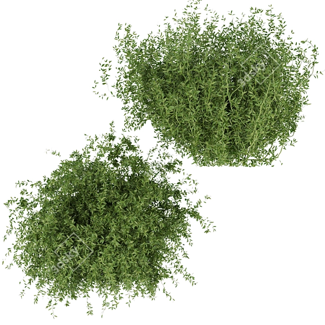 Premium Plant Collection Vol. 226 3D model image 4