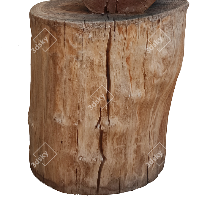 Natural Wood Tree Trunk Sculpture 3D model image 4