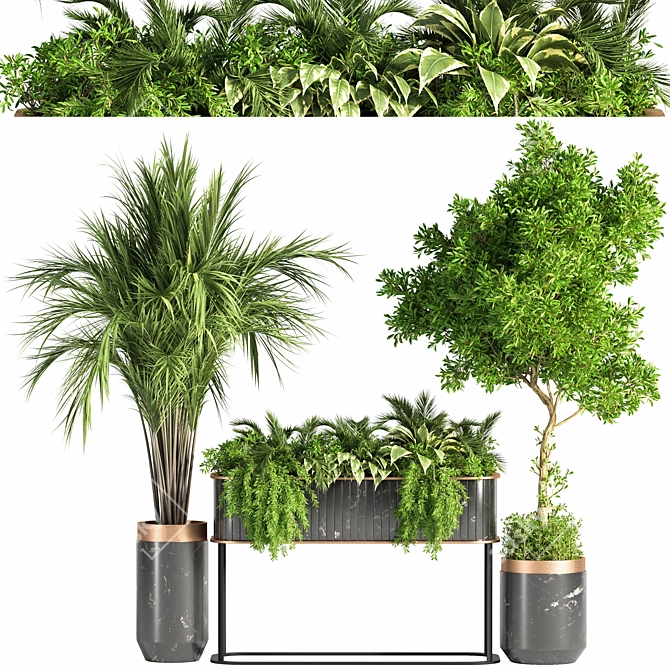 Green Oasis Indoor Plant Set 3D model image 1