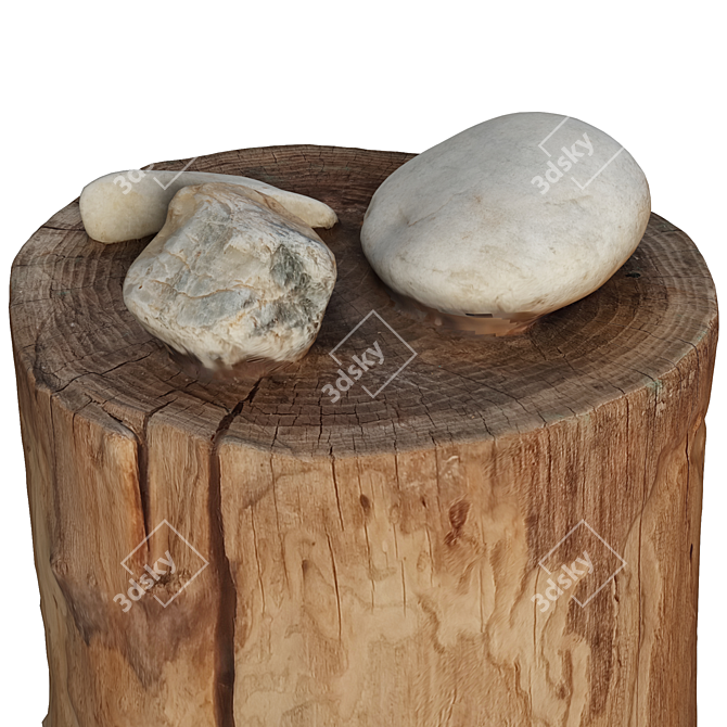 Natural Trunk Stone: Unwrap | 22 Polygon | 3dsmax2015-FBX-Obj 3D model image 4