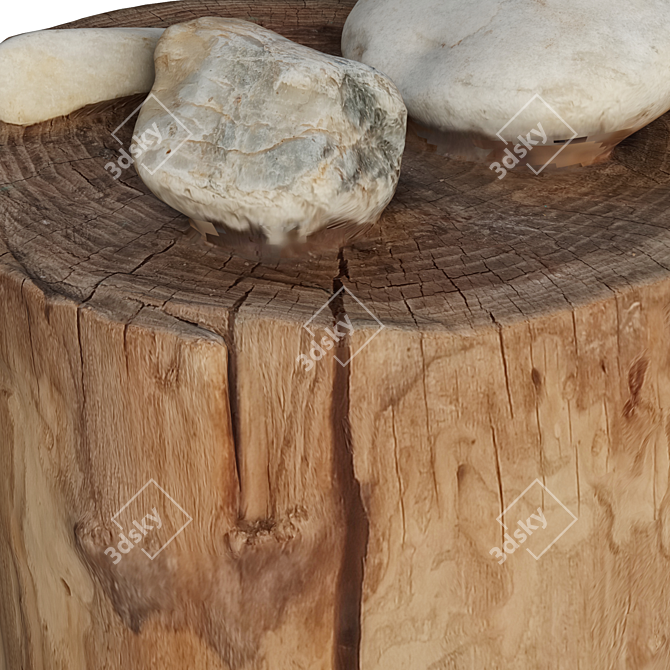 Natural Trunk Stone: Unwrap | 22 Polygon | 3dsmax2015-FBX-Obj 3D model image 5