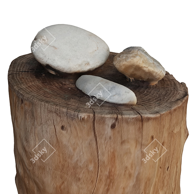 Natural Trunk Stone: Unwrap | 22 Polygon | 3dsmax2015-FBX-Obj 3D model image 6