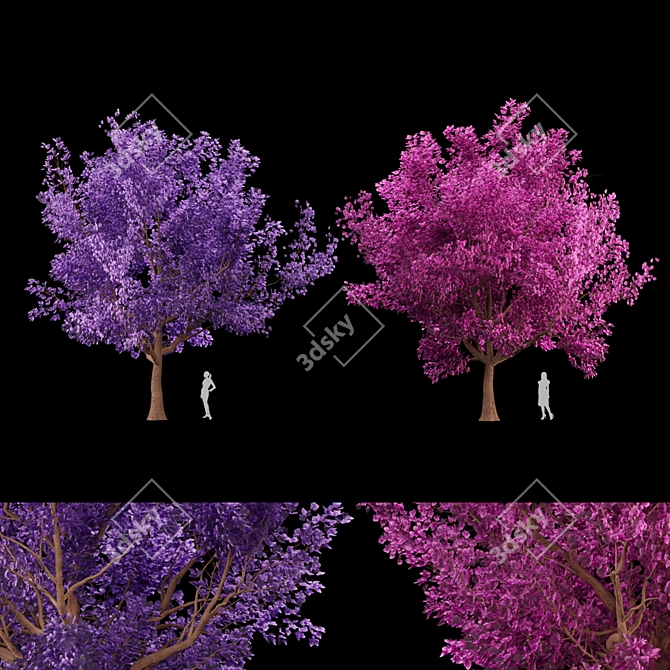 Blossoming Beauty: Cherry Tree Paradise 3D model image 1