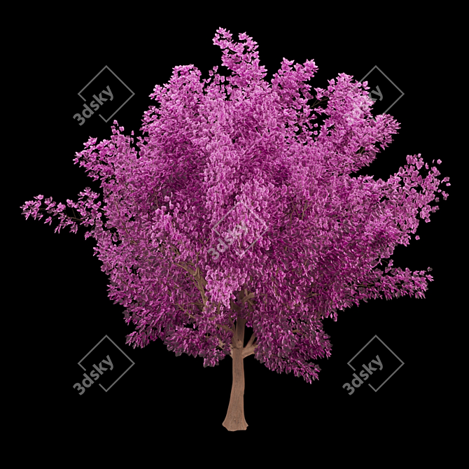 Blossoming Beauty: Cherry Tree Paradise 3D model image 2