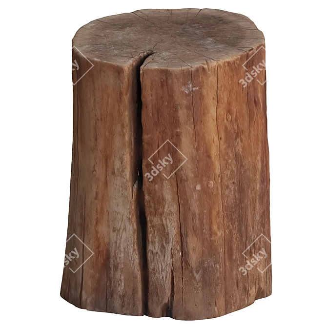  Rustic Wood Slice Coaster Set 3D model image 2