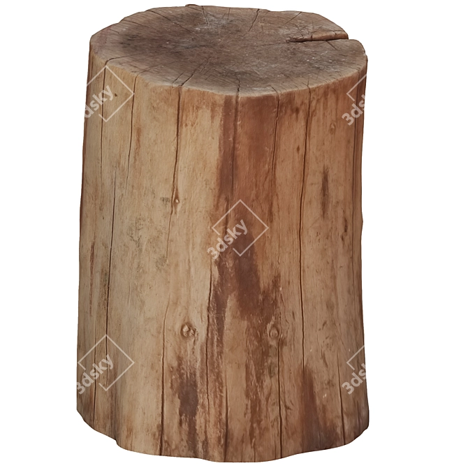  Rustic Wood Slice Coaster Set 3D model image 4