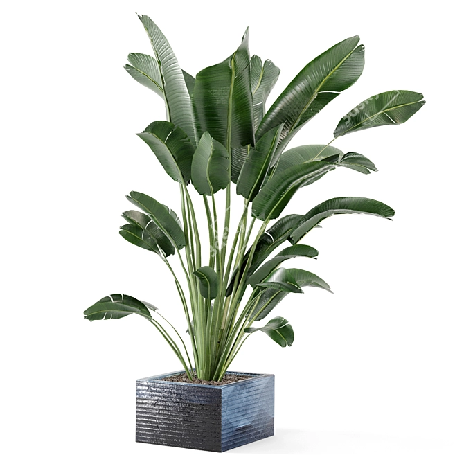 Green Oasis Indoor Plant Collection 3D model image 1