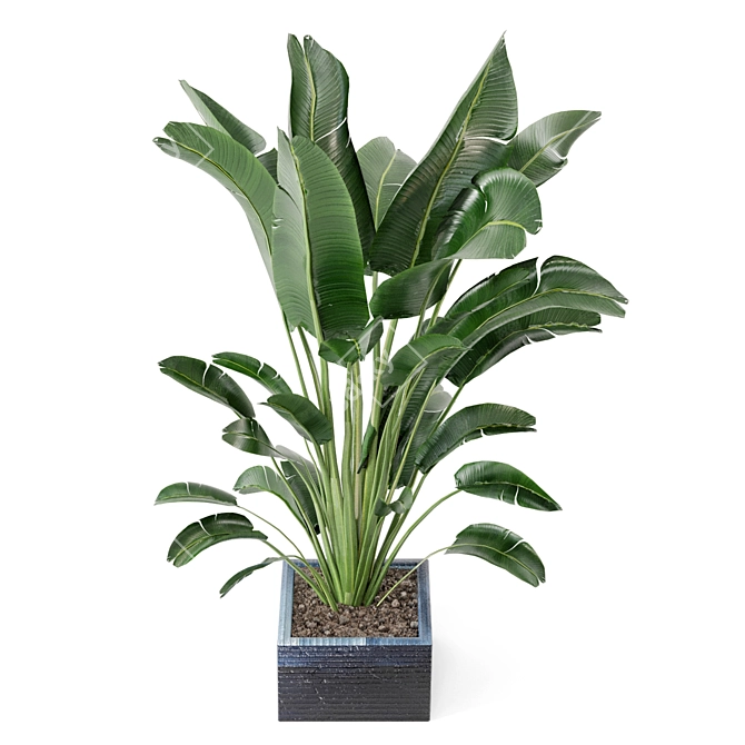 Green Oasis Indoor Plant Collection 3D model image 2