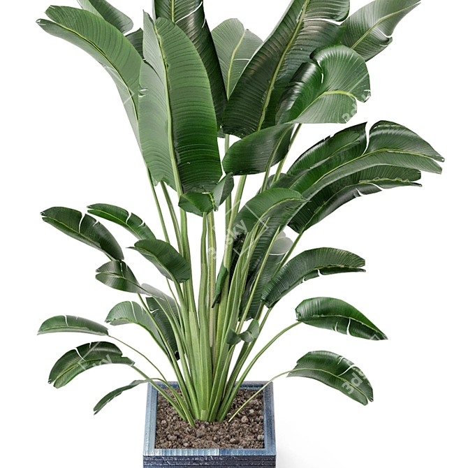 Green Oasis Indoor Plant Collection 3D model image 4