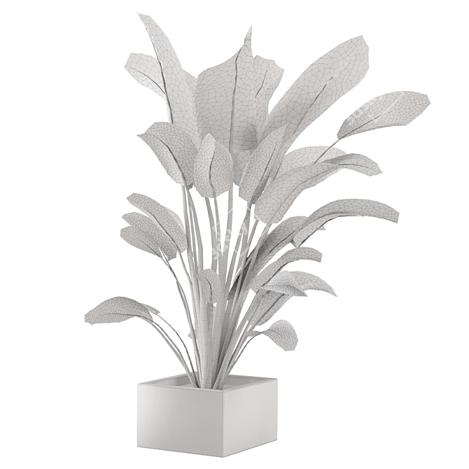 Green Oasis Indoor Plant Collection 3D model image 5