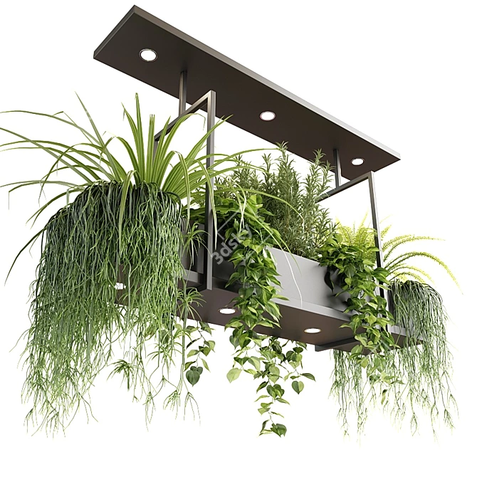 Suspended Greenery: Oslo Pendant 3D model image 2