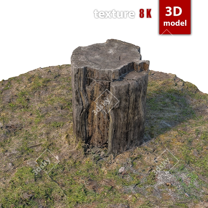 Detailed 3D Stump Model 3D model image 2