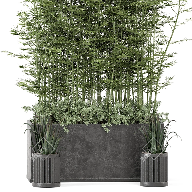 Rusty Concrete Pot: Outdoor Bamboo Plants 3D model image 3