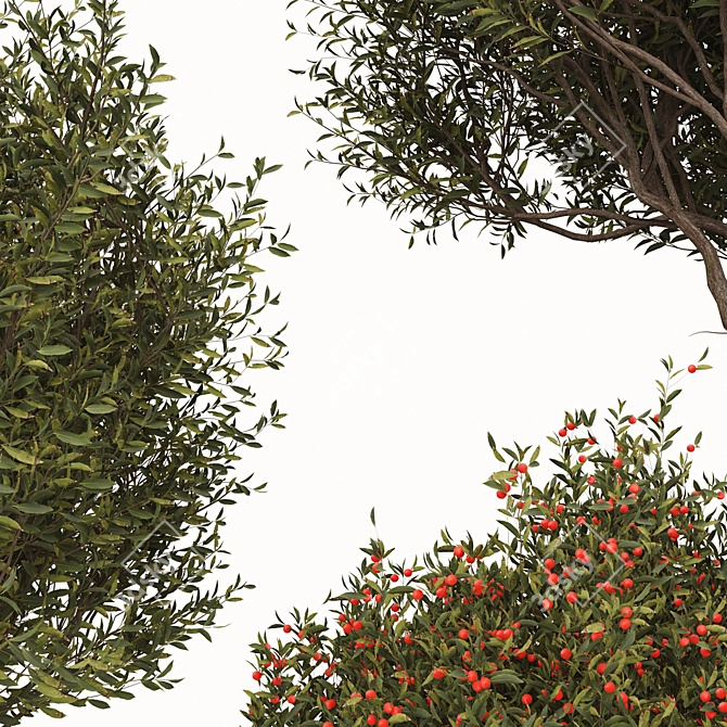 Evergreen Arbutus unedo Tree Set 3D model image 4