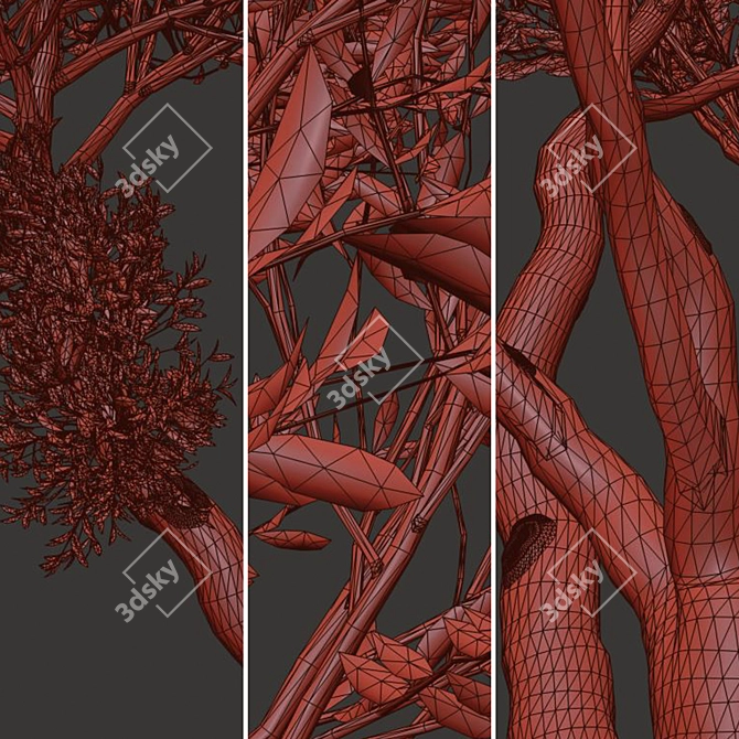 Evergreen Arbutus unedo Tree Set 3D model image 5