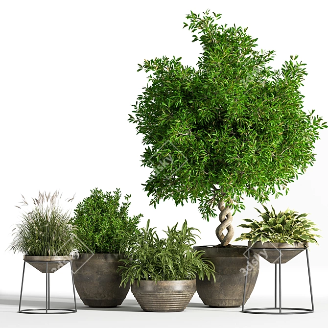 Indoor Greenery Set: Stylish & Lush 3D model image 1