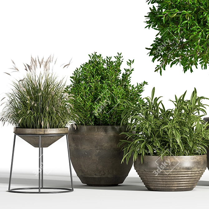 Indoor Greenery Set: Stylish & Lush 3D model image 2