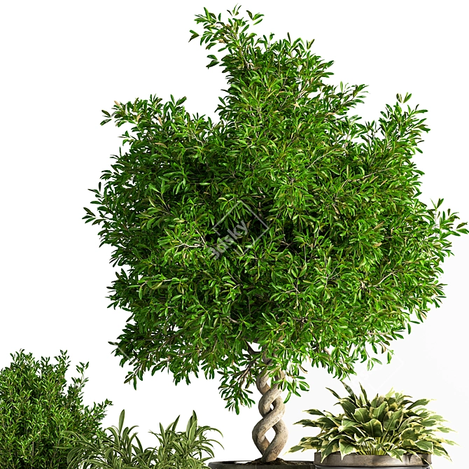 Indoor Greenery Set: Stylish & Lush 3D model image 3