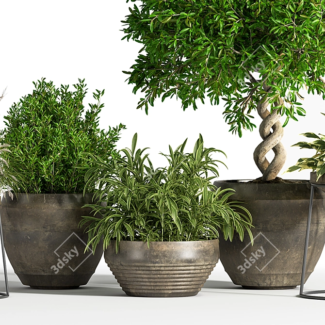 Indoor Greenery Set: Stylish & Lush 3D model image 4