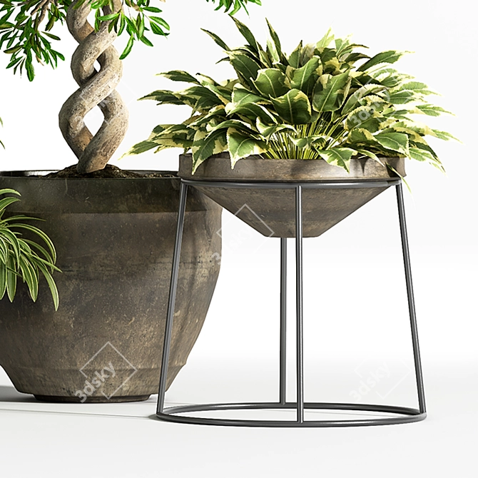 Indoor Greenery Set: Stylish & Lush 3D model image 5