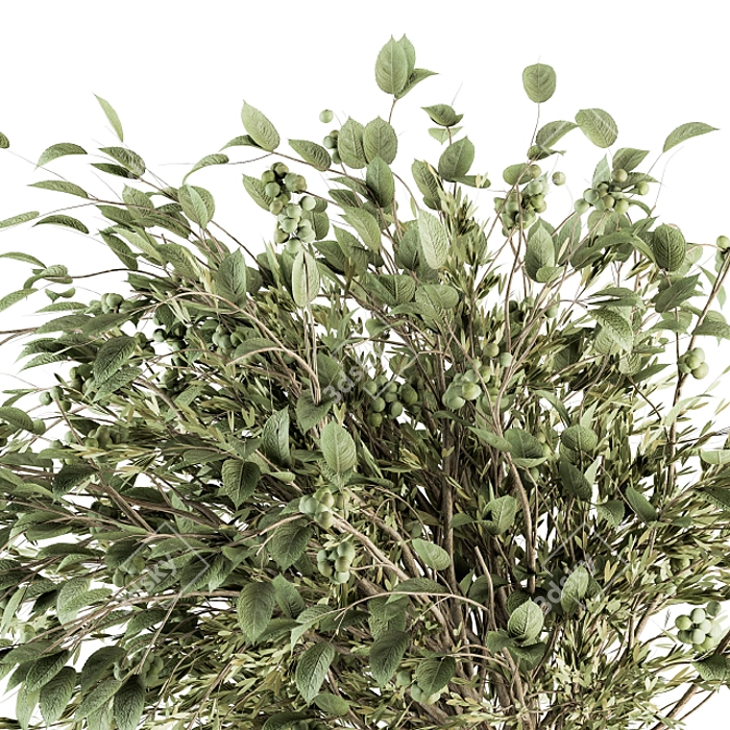 Translate Description: Букет - Зеленая Ветка в вазе 58

Supposed Title: Green Branch Bouquet 3D model image 2