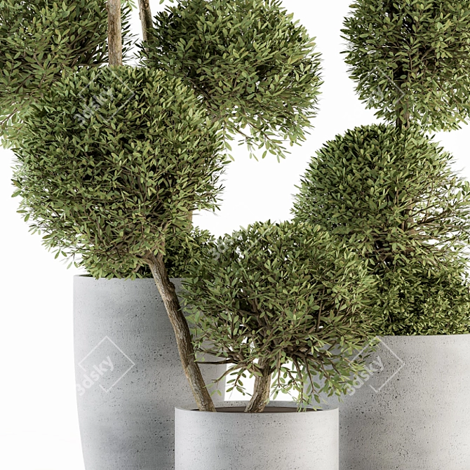 Elegant Topiary Ball Plant Set 3D model image 2